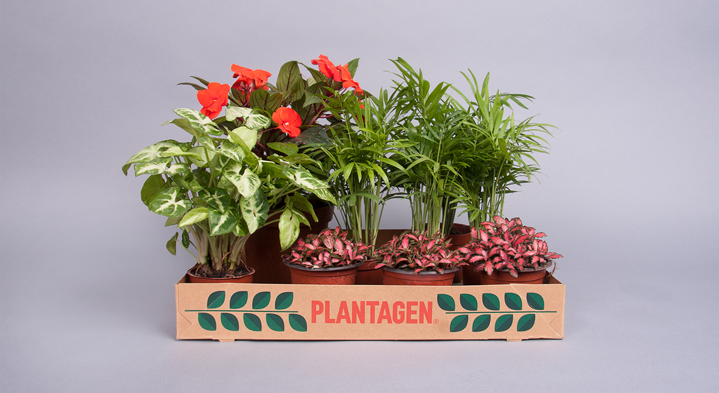 Plantagen